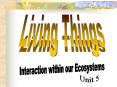 Living Things