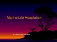 Marine Life Adaptation