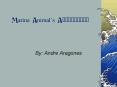 Marine Animals Adaptation