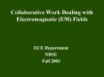 Collaborative Work Dealing with Electromagnetic EM Fields
