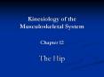 Kinesiology of the Musculoskeletal System Chapter 12