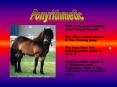 This is my presentation about Ponyrithmetic
