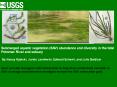 Submerged aquatic vegetation SAV abundance and diversity in the tidal Potomac River and estuary
