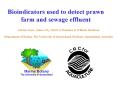 Bioindicators used to detect prawn farm and sewage effluent