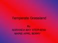 Temperate Grassland