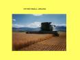 OTHER SMALL GRAINS