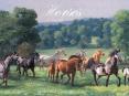 Horses