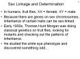 Sex Linkage and Determination