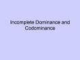Incomplete Dominance and Codominance