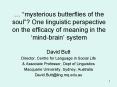mysterious butterflies of the soul One linguistic perspective on the efficacy of meaning in the min