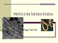 PHYLUM NEMATODA
