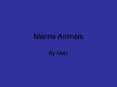 Marine Animals