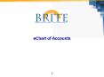 eChart of Accounts