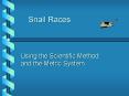Snail Races