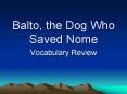 Balto, the Dog Who Saved Nome