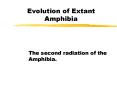 Evolution of Extant Amphibia