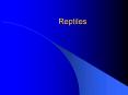 Reptiles