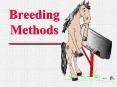 Breeding Methods