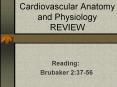 Cardiovascular Anatomy and Physiology REVIEW