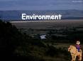 Environment