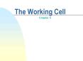 The Working Cell