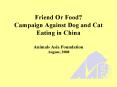 Friend Or Food Campaign Against Dog and Cat Eating in China Animals Asia Foundation August, 2008