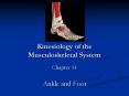 Kinesiology of the Musculoskeletal System