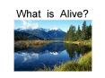 What is Alive