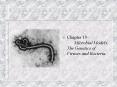 Chapter 19Microbial Models: The Genetics of Viruses and Bacteria