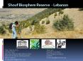 Shouf Biosphere Reserve Lebanon