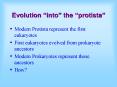 Evolution into the protista
