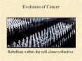 Evolution of Cancer