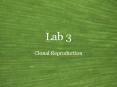 Lab 3
