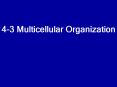 43 Multicellular Organization