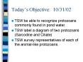 Todays Objective: 103102