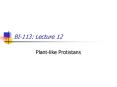 BI113: Lecture 12