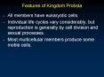 Features of Kingdom Protista
