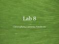 Lab 8