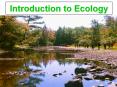 Introduction to Ecology