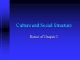 Culture and Social Structure