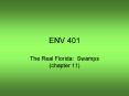 ENV 401