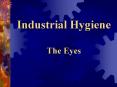 Industrial Hygiene The Eyes