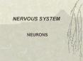 NERVOUS SYSTEM