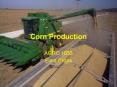 Corn Production