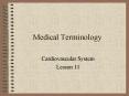 Medical Terminology