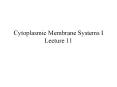Cytoplasmic Membrane Systems I Lecture 11