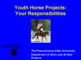 Youth Horse Projects: Your Responsibilities
