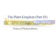 The Plant Kingdom Part III