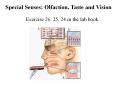 Special Senses: Olfaction, Taste and Vision