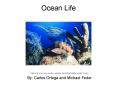 Ocean Life